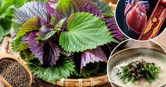 Ăn tía tô nhiều năm nhưng không phải ai cũng biết những lợi ích này