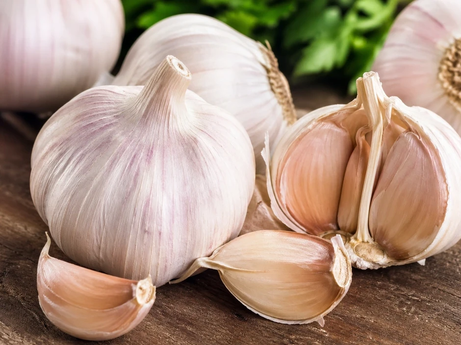 Ăn tỏi giúp kiểm soát đường huyết bằng cách nào? Ăn tỏi giúp kiểm soát đường huyết bằng cách nào?