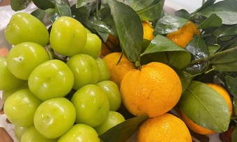 Ăn uống thế nào tốt cho gan và dạ dày - Báo TinVina