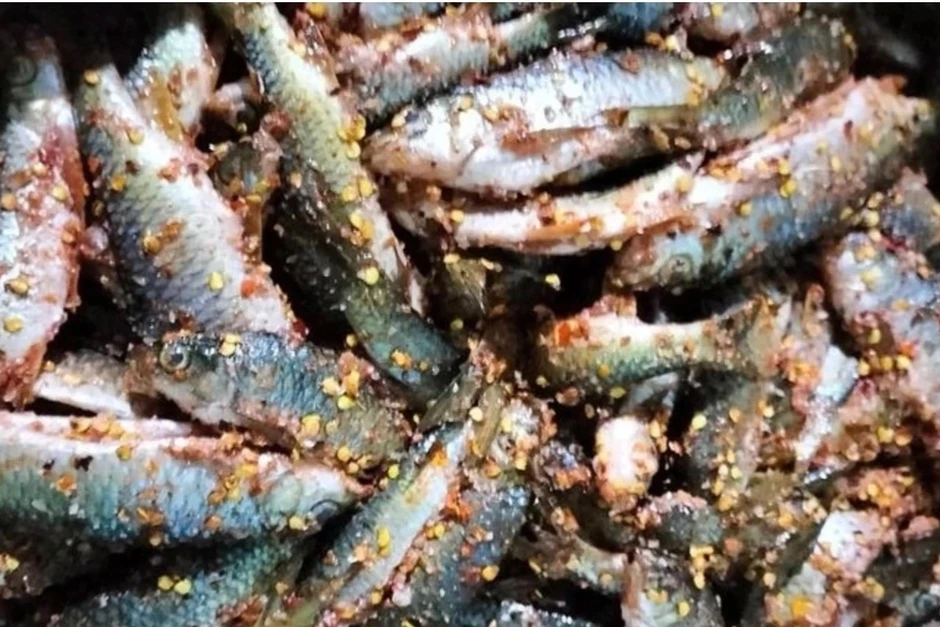Ba trẻ em cùng gia đình nghi ngộ độc sau khi ăn cá ủ chua Ba trẻ em cùng gia đình nghi ngộ độc sau khi ăn cá ủ chua