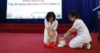 Bác sĩ BV Bạch Mai cứu bé rơi xuống bể bơi, ngừng tim tại khu nghỉ dưỡng