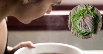 Bác sĩ cảnh báo những sai lầm khi xông mặt bằng lá tía tô