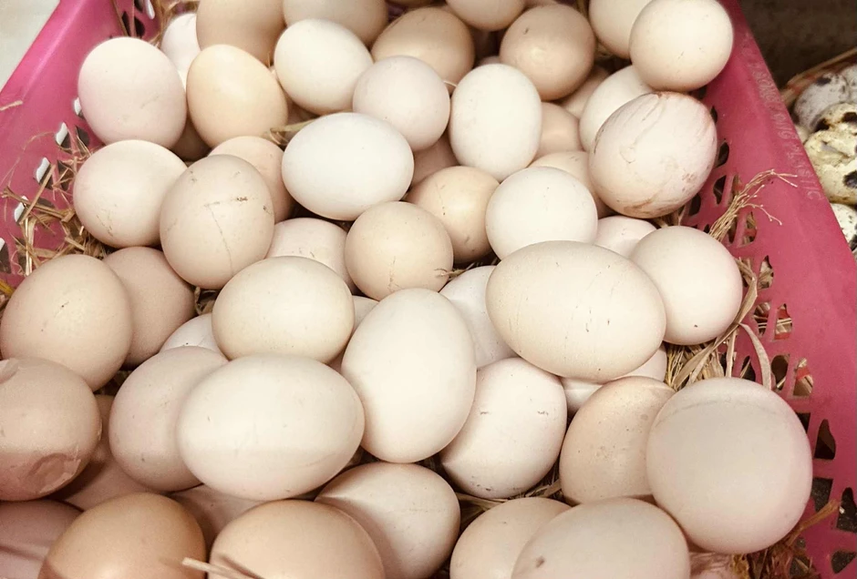 Bác sĩ tiết lộ điều gì xảy ra nếu bạn ăn trứng mỗi ngày trong 2 tuần? Bác sĩ tiết lộ điều gì xảy ra nếu bạn ăn trứng mỗi ngày trong 2 tuần?