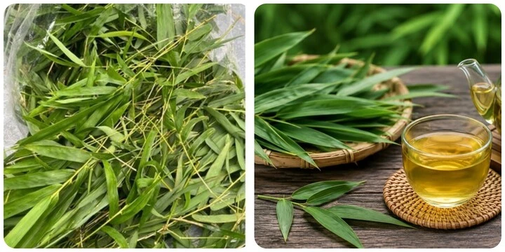 Bài thuốc chữa bệnh từ lá tre Bài thuốc chữa bệnh từ lá tre
