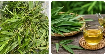 Bài thuốc chữa bệnh từ lá tre