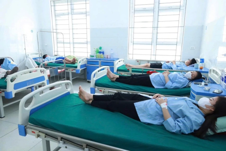 Bánh mì nhiễm khuẩn Salmonella gây ngộ độc 62 người Nghệ An Bánh mì nhiễm khuẩn Salmonella gây ngộ độc 62 người Nghệ An