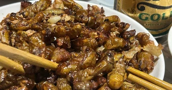 Bắt ve sầu chiên ăn, hàng loạt người ngộ độc