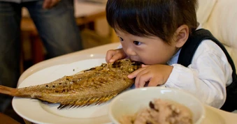 Bé 2 tuổi ăn một loại cá suốt 8 tháng, xét nghiệm thủy ngân vượt mức khuyến nghị
