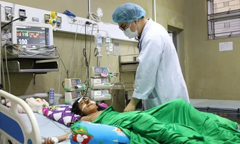 Bé gái 10 tuổi bị ong vò vẽ đốt hơn 70 vết gây phản vệ nặng