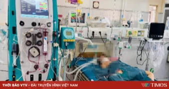 Bé gái 6 tuổi sốc phản vệ do ong khoái đốt