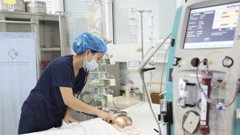 Bé trai 15 tháng tuổi bị ong vò vẽ đốt 60 nốt