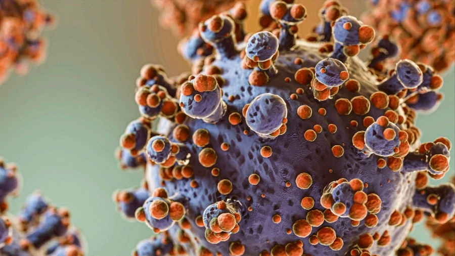 Bệnh viện Bạch Mai cảnh báo 1 căn bệnh dễ nhầm với cúm: Nguy cơ suy hô hấp, sốc tuần hoàn và tử vong sau vài giờ Bệnh viện Bạch Mai cảnh báo 1 căn bệnh dễ nhầm với cúm: Nguy cơ suy hô hấp, sốc tuần hoàn và tử vong sau vài giờ
