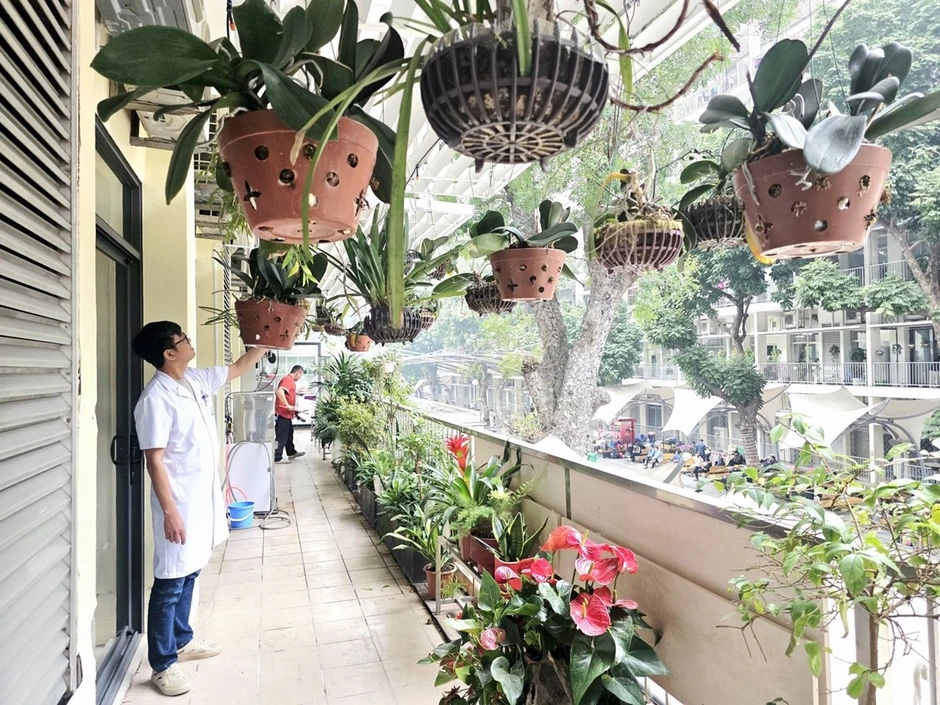 Bệnh viện Bạch Mai sẵn sàng phục vụ hơn nghìn người bệnh dịp Tết Bệnh viện Bạch Mai sẵn sàng phục vụ hơn nghìn người bệnh dịp Tết