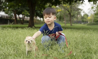Bị cắn do bắt chước thói quen nạt chó - Báo TinVina