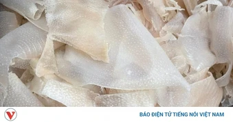 Bì lợn - bộ phận bị ghẻ lạnh nhưng là "kho báu" chống già