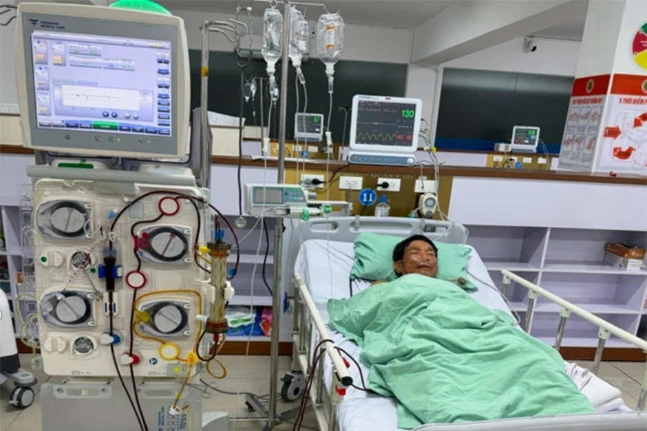 Bị ong vò vẽ đốt 150 vết, người đàn ông suy đa tạng Bị ong vò vẽ đốt 150 vết, người đàn ông suy đa tạng