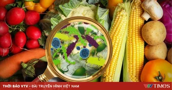 Bộ Y tế yêu cầu điều tra, xử lý vụ ngộ độc thực phẩm trên địa bàn tỉnh Đắk Lắk