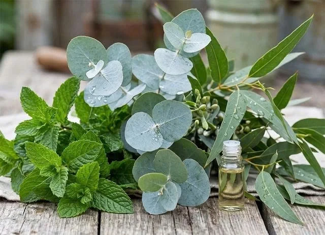 Bữa cơm nào cũng có ớt: Phát hiện mới cách làm tăng lợi ích gấp hàng trăm lần Bữa cơm nào cũng có ớt: Phát hiện mới cách làm tăng lợi ích gấp hàng trăm lần