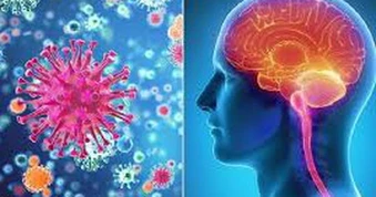 Cà Mau ghi nhận 3 trường hợp nghi viêm não mô cầu, 1 người tử vong