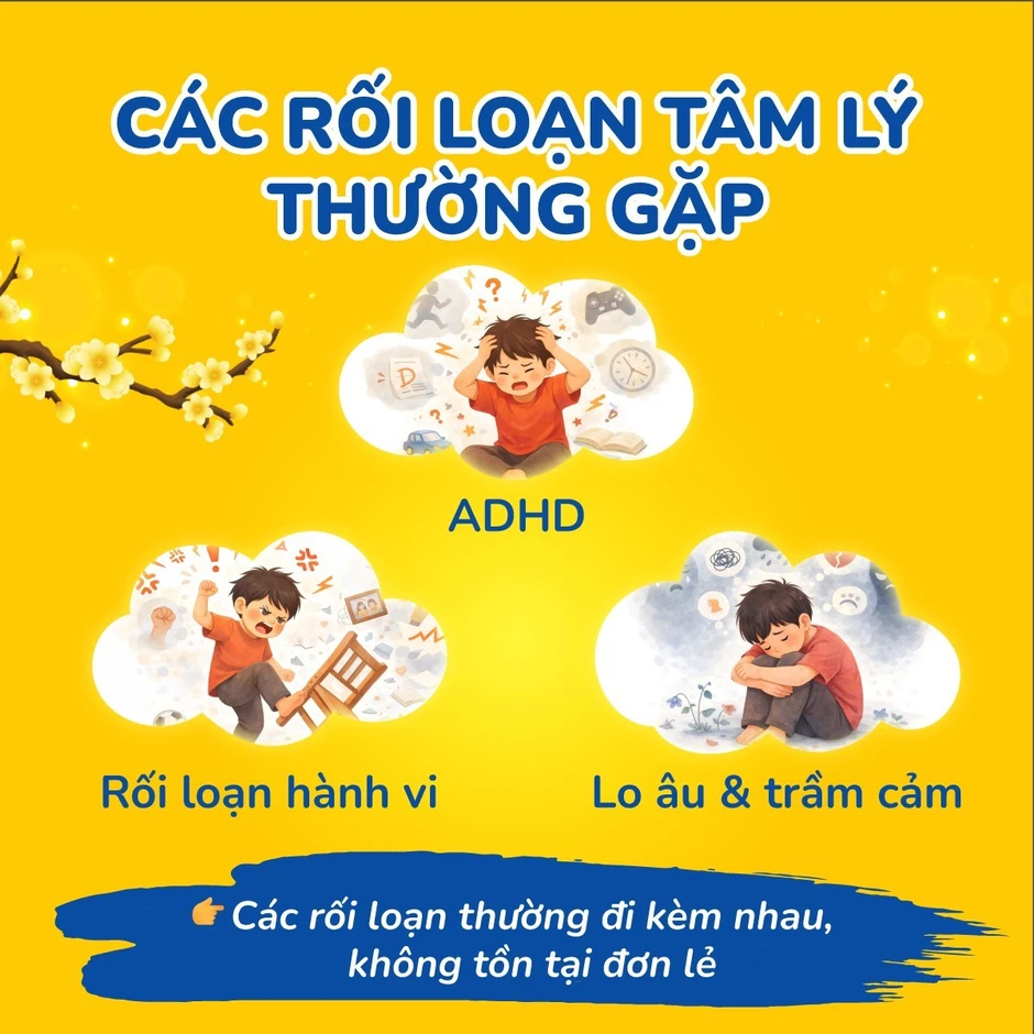 Cá nhân hóa lộ trình khám và điều trị cho trẻ rối loạn phát triển cùng Tâm lý nhi 315 Cá nhân hóa lộ trình khám và điều trị cho trẻ rối loạn phát triển cùng Tâm lý nhi 315