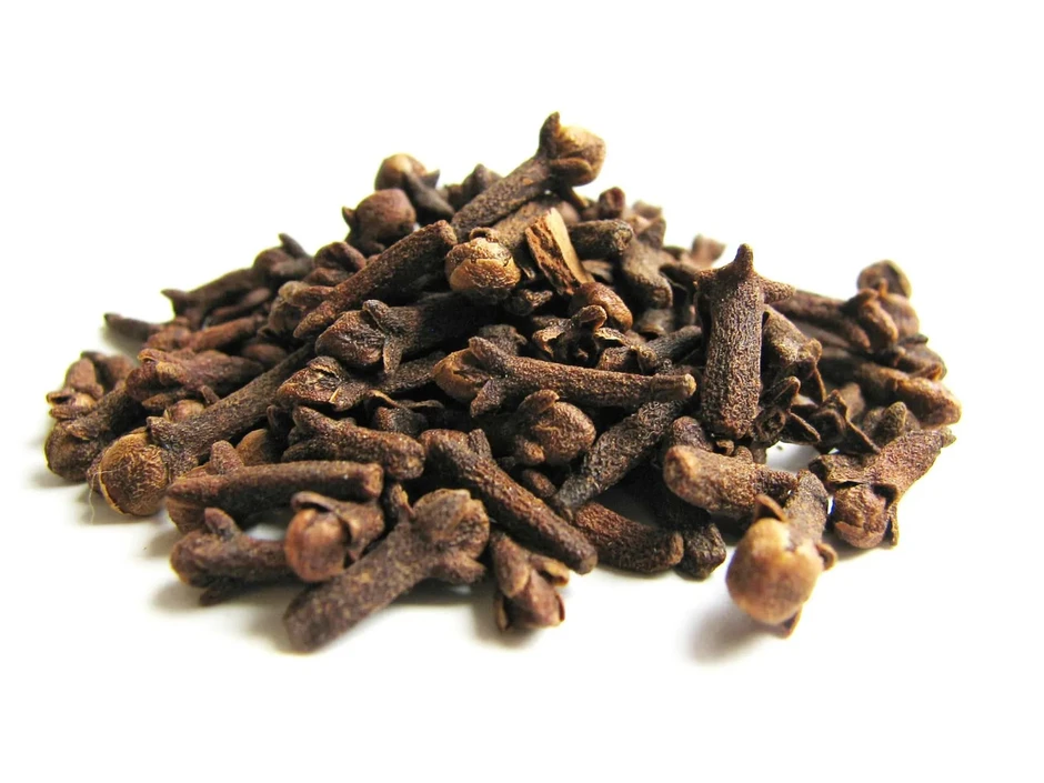 Cách đuổi chuột đơn giản, không cần thuốc: Chỉ cần 1 nguyên liệu có sẵn trong bếp Cách đuổi chuột đơn giản, không cần thuốc: Chỉ cần 1 nguyên liệu có sẵn trong bếp