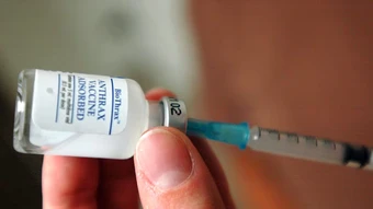 Cách Louis Pasteur thử nghiệm vaccine phòng bệnh than - Báo TinVina