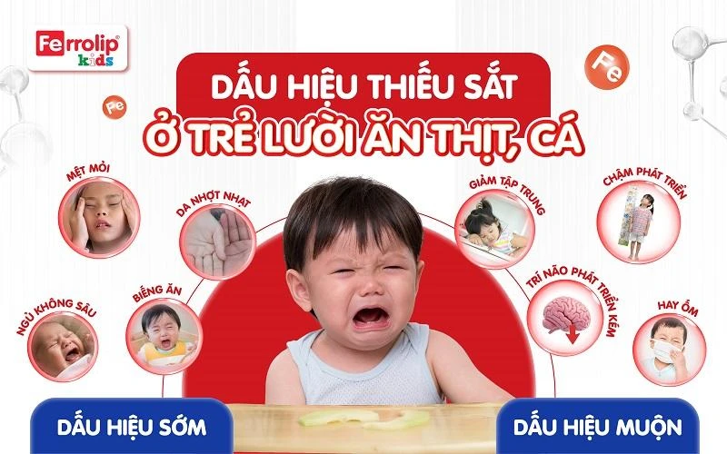 Cảnh báo 4 nhóm trẻ nguy cơ cao thiếu sắt: phớt lờ đi kèm hệ lụy