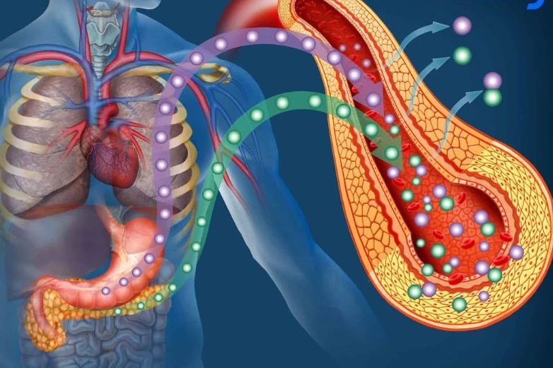 Cảnh báo đến những người có 3 thứ trên khuôn mặt: Máu đã "ngập đường" Cảnh báo đến những người có 3 thứ trên khuôn mặt: Máu đã "ngập đường"