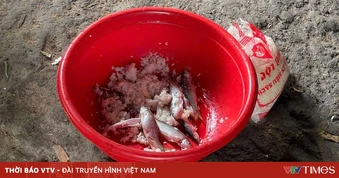 Cảnh báo ngộ độc Botulinum từ thực phẩm ủ chua