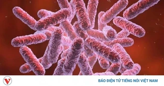 Cảnh giác với “sốt đất” khi mầm bệnh ẩn trong bùn đất và nước tù đọng