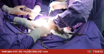Cắt bỏ bướu diệp thể vú khổng lồ