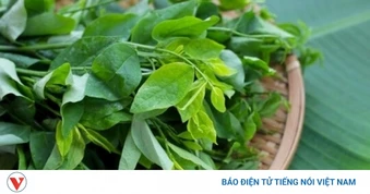 Cây thuốc siêu bổ là loại rau, sẵn ở chợ quê, nhiều người hay ăn mà không biết