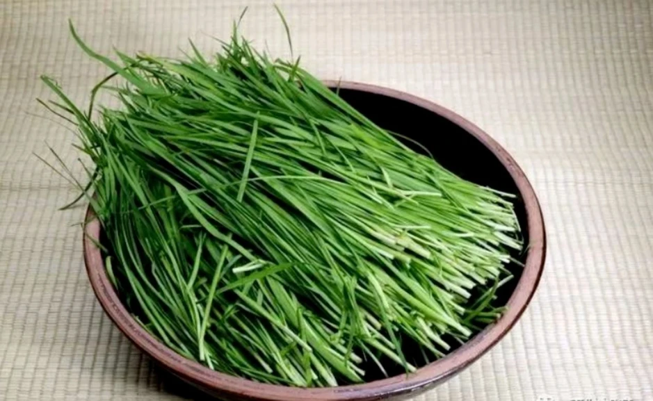 Cây thuốc Việt ăn vào bổ thận dưỡng tim, cứ ra chợ là thấy mà ít người biết Cây thuốc Việt ăn vào bổ thận dưỡng tim, cứ ra chợ là thấy mà ít người biết