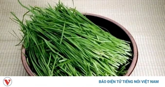 Cây thuốc Việt ăn vào bổ thận dưỡng tim, cứ ra chợ là thấy mà ít người biết