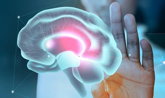 Chất xám trong não liên quan gì đến chứng mất trí nhớ? - Báo TinVina