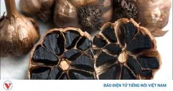 Chiết xuất tỏi đen có tác dụng gì? Những lưu ý không nên bỏ qua