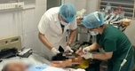 Chó nhà bất ngờ tấn công: Người gãy xương, người lóc da cẳng tay lộ gân cơ