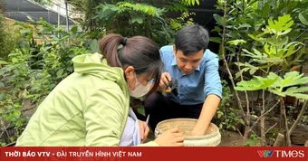 Chủ động phòng sốt xuất huyết, không để dịch lan rộng