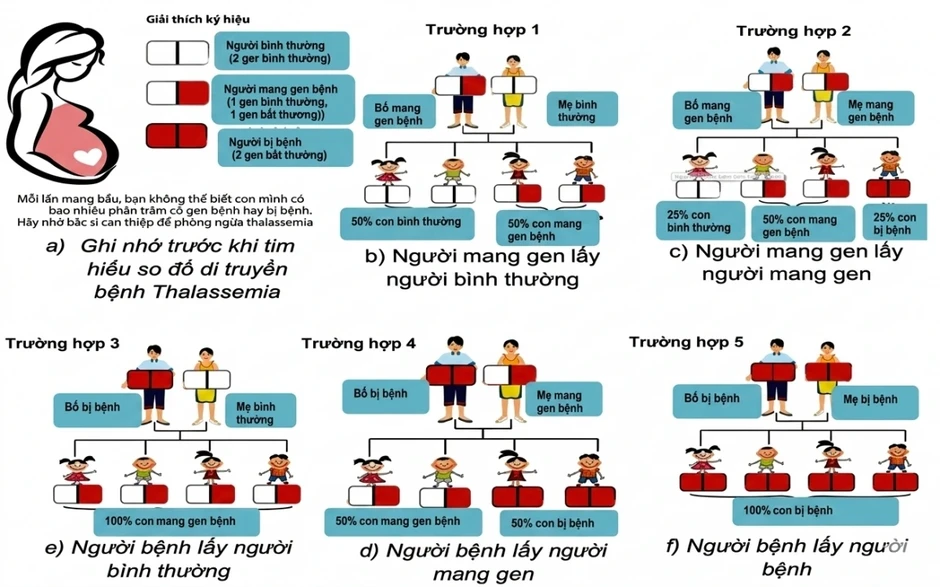 Chủ động tầm soát Thalassemia trước kết hôn và sinh con, bảo vệ thế hệ tương lai Chủ động tầm soát Thalassemia trước kết hôn và sinh con, bảo vệ thế hệ tương lai