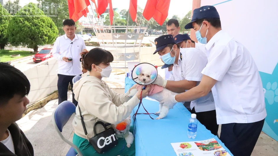 Chung tay vì mục tiêu đến năm 2030, Việt Nam sẽ không còn người tử vong do bệnh dại Chung tay vì mục tiêu đến năm 2030, Việt Nam sẽ không còn người tử vong do bệnh dại