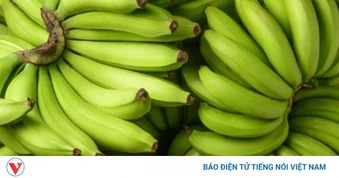 Chuối xanh tưởng tốt nhưng có thể gây hại: Ai nên hạn chế ăn?
