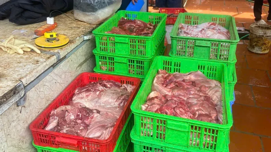 Chuyển cơ quan công an điều tra vụ gần 1 tấn thịt nghi nhiễm dịch tả heo châu Phi Chuyển cơ quan công an điều tra vụ gần 1 tấn thịt nghi nhiễm dịch tả heo châu Phi