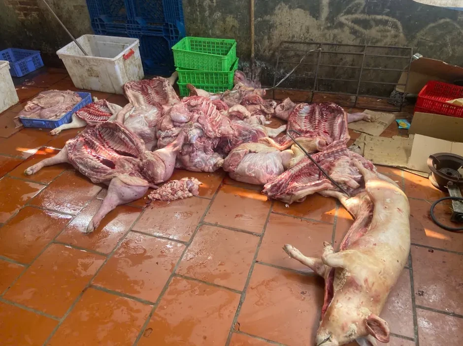 Chuyển cơ quan công an điều tra vụ gần 1 tấn thịt nghi nhiễm dịch tả heo châu Phi Chuyển cơ quan công an điều tra vụ gần 1 tấn thịt nghi nhiễm dịch tả heo châu Phi