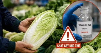 Chuyên gia chỉ cách xử lý rau nghi bị ngâm hóa chất bảo quản