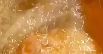 Clip dòi bò lúc nhúc trong hộp xôi mua tại tiệm bánh mì gây xôn xao dư luận ở Quảng Trị