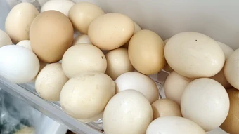 Có nên trữ trứng ở cánh cửa tủ lạnh?