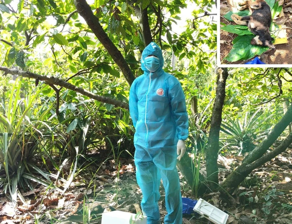 Con chó đốm nghi mắc bệnh dại, liên tiếp cắn 5 người gần bãi biển Con chó đốm nghi mắc bệnh dại, liên tiếp cắn 5 người gần bãi biển