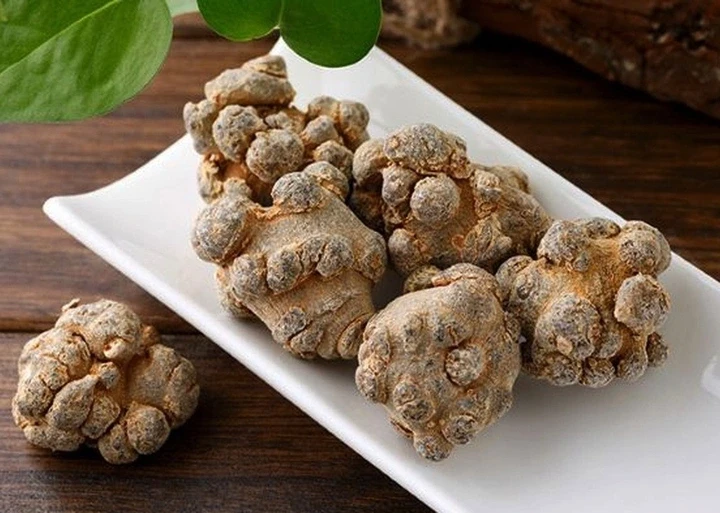 Củ cây tam thất có tác dụng gì? Củ cây tam thất có tác dụng gì?