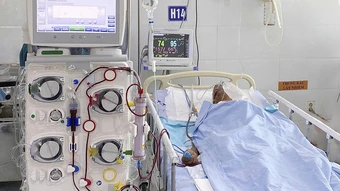 Cụ ông 98 tuổi bị ong vò vẽ đốt tổn thương đa cơ quan