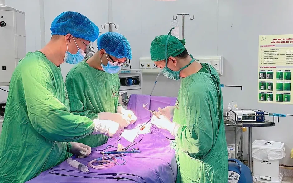 Cứu bé sơ sinh mắc cùng lúc hai dị tật tiêu hóa hiếm gặp Cứu bé sơ sinh mắc cùng lúc hai dị tật tiêu hóa hiếm gặp